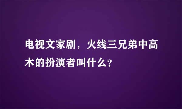 电视文家剧，火线三兄弟中高木的扮演者叫什么？