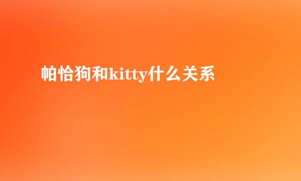 帕恰狗和kitty什么关系