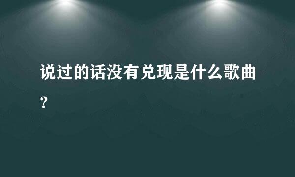 说过的话没有兑现是什么歌曲？