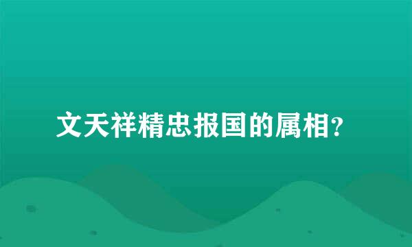 文天祥精忠报国的属相？