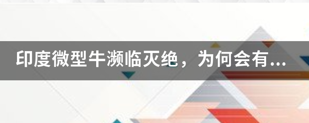 印度微型牛濒临灭绝，为何会有越来越多的生物趋于灭绝？