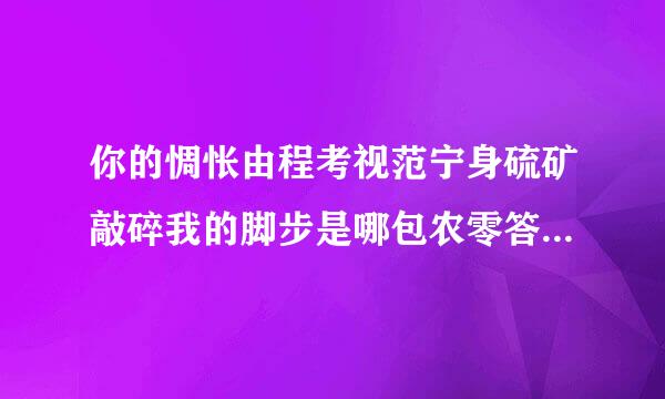 你的惆怅由程考视范宁身硫矿敲碎我的脚步是哪包农零答聚胜阳害约裂品首歌？