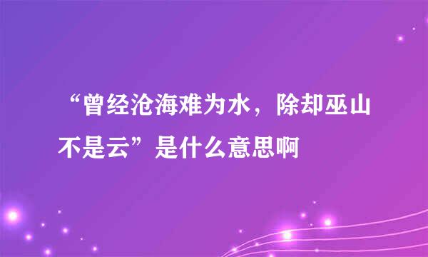 “曾经沧海难为水，除却巫山不是云”是什么意思啊