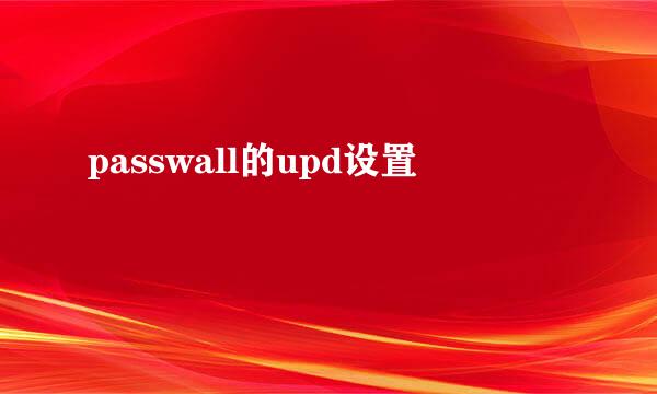 passwall的upd设置