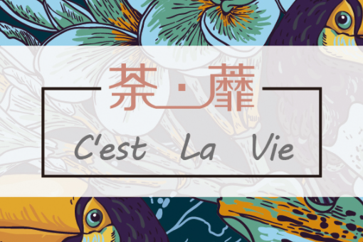 cest la vie什么意思?