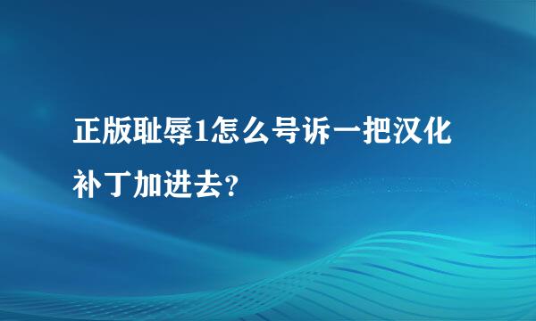 正版耻辱1怎么号诉一把汉化补丁加进去？