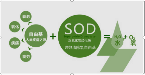 SOD是什么意思?