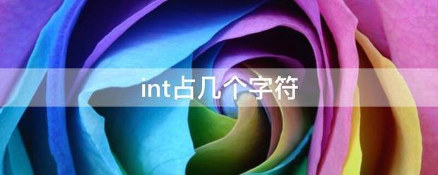 int来自占几个字符