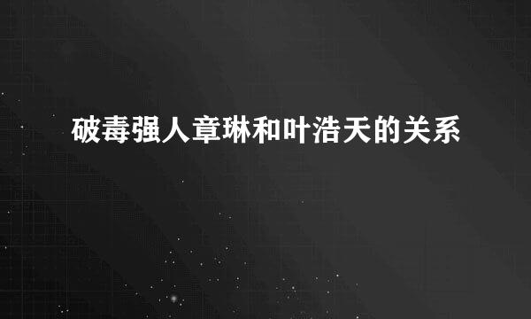 破毒强人章琳和叶浩天的关系