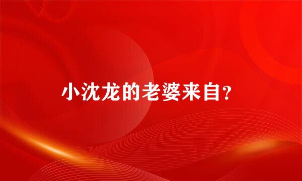 小沈龙的老婆来自？