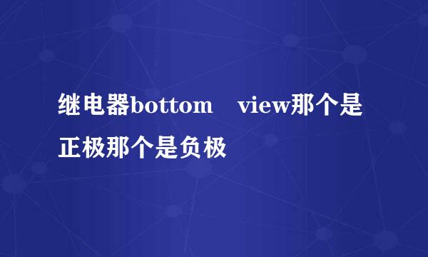 继电器bottom view那个是正极那个是负极