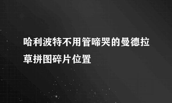 哈利波特不用管啼哭的曼德拉草拼图碎片位置