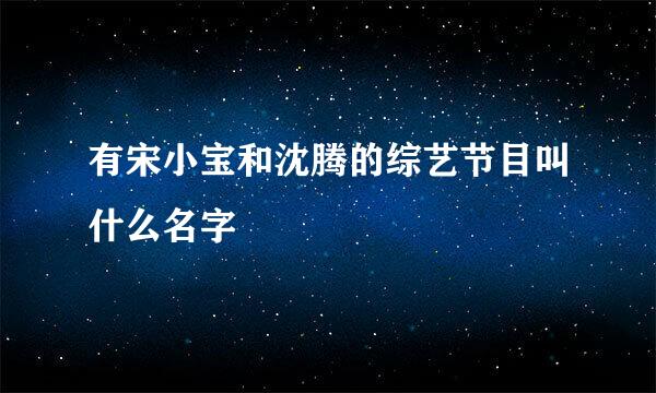 有宋小宝和沈腾的综艺节目叫什么名字