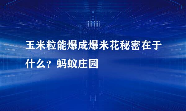 玉米粒能爆成爆米花秘密在于什么？蚂蚁庄园