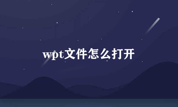 wpt文件怎么打开