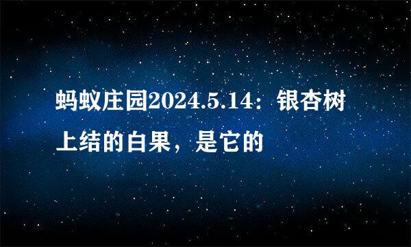 蚂蚁庄园2024.5.14：银杏树上结的白果，是它的