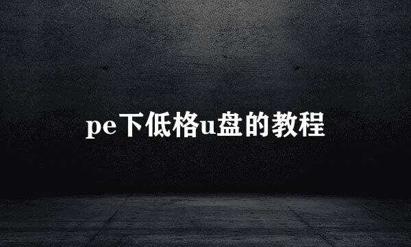 pe下低格u盘的教程