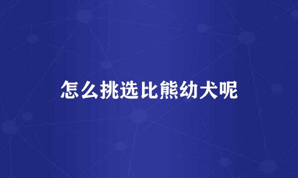 怎么挑选比熊幼犬呢