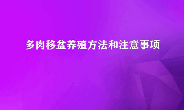 多肉移盆养殖方法和注意事项