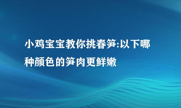 小鸡宝宝教你挑春笋:以下哪种颜色的笋肉更鲜嫩