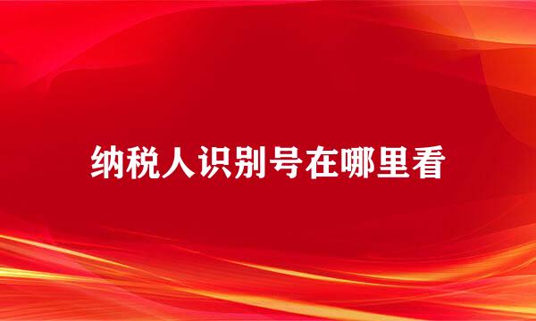 纳税人识别号在哪里看