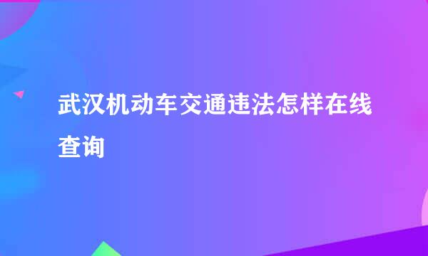 武汉机动车交通违法怎样在线查询