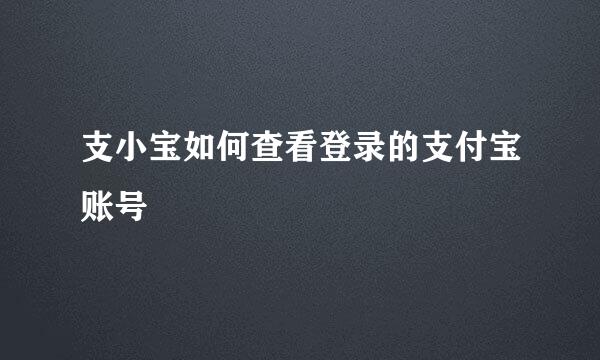 支小宝如何查看登录的支付宝账号