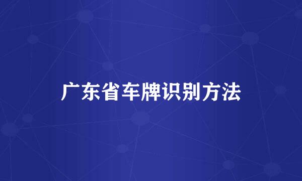 广东省车牌识别方法