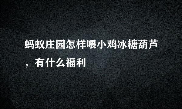 蚂蚁庄园怎样喂小鸡冰糖葫芦，有什么福利