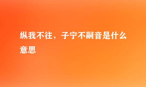 纵我不往，子宁不嗣音是什么意思