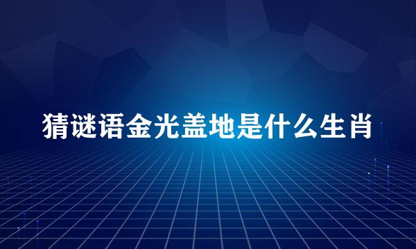 猜谜语金光盖地是什么生肖