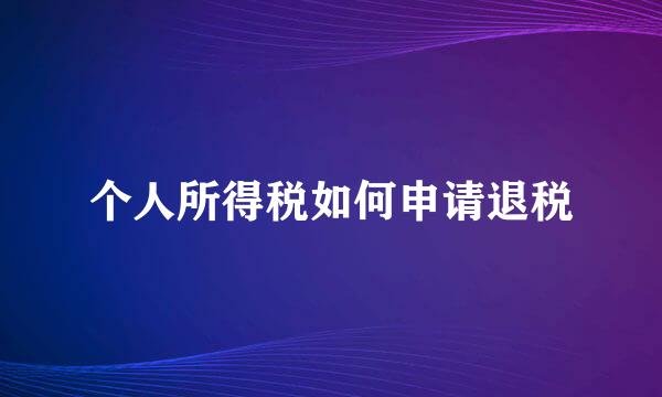 个人所得税如何申请退税