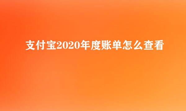 支付宝2020年度账单怎么查看