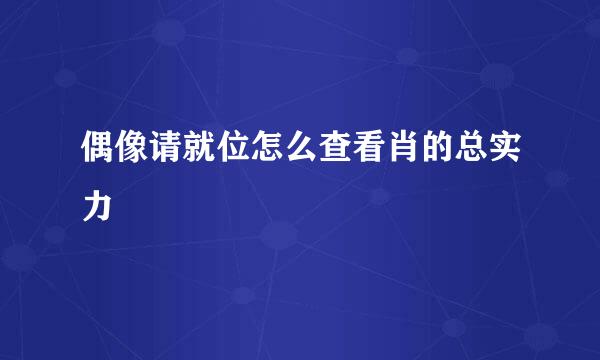 偶像请就位怎么查看肖的总实力