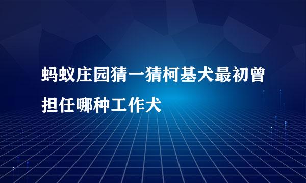 蚂蚁庄园猜一猜柯基犬最初曾担任哪种工作犬