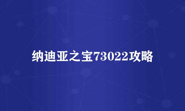 纳迪亚之宝73022攻略