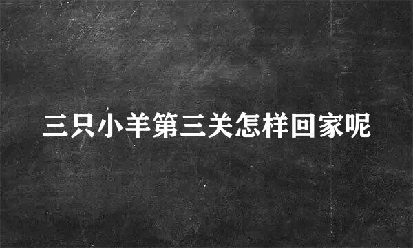 三只小羊第三关怎样回家呢