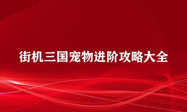 街机三国宠物进阶攻略大全