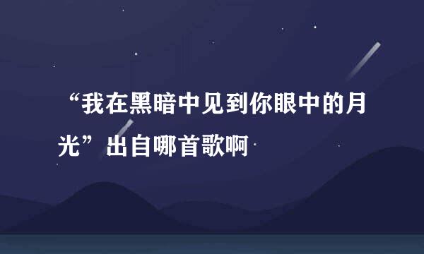 “我在黑暗中见到你眼中的月光”出自哪首歌啊