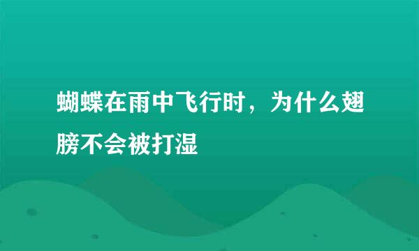 蝴蝶在雨中飞行时，为什么翅膀不会被打湿