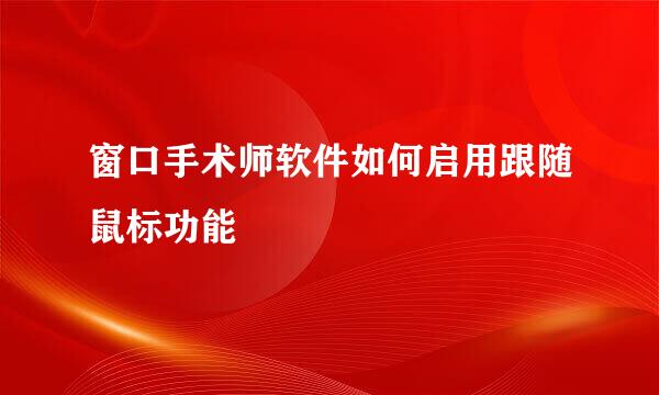 窗口手术师软件如何启用跟随鼠标功能