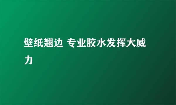 壁纸翘边 专业胶水发挥大威力