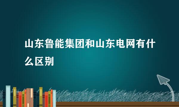 山东鲁能集团和山东电网有什么区别