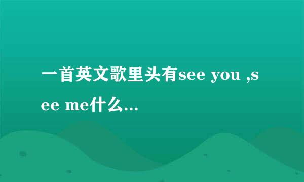 一首英文歌里头有see you ,see me什么的是什么歌