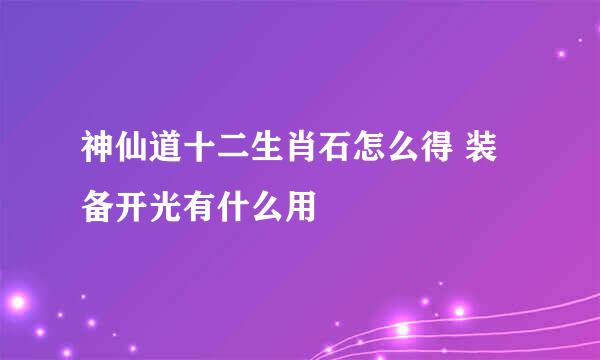 神仙道十二生肖石怎么得 装备开光有什么用