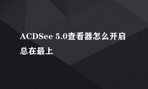 ACDSee 5.0查看器怎么开启总在最上