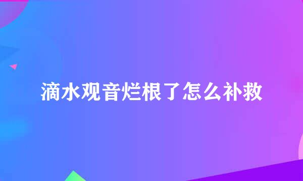 滴水观音烂根了怎么补救