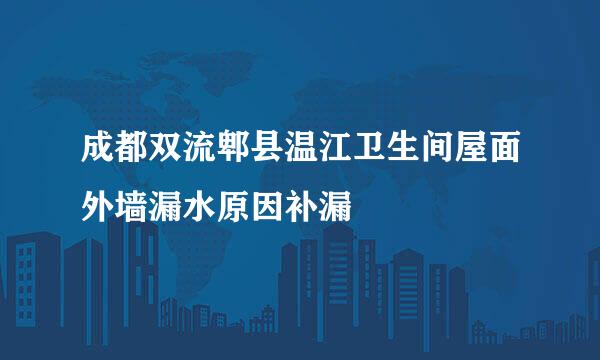 成都双流郫县温江卫生间屋面外墙漏水原因补漏