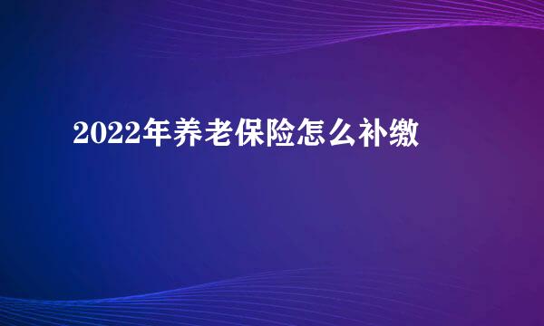 2022年养老保险怎么补缴