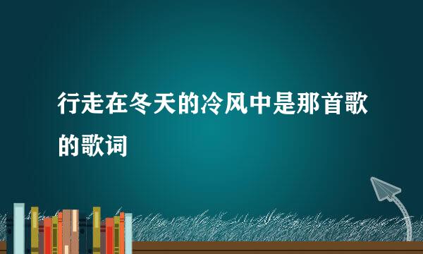 行走在冬天的冷风中是那首歌的歌词